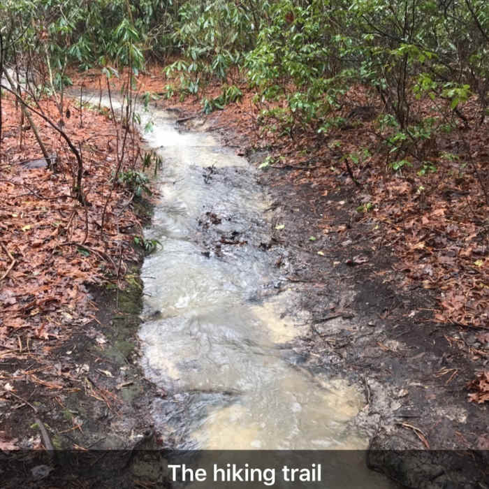 Near Moore's Wall Loop Trail