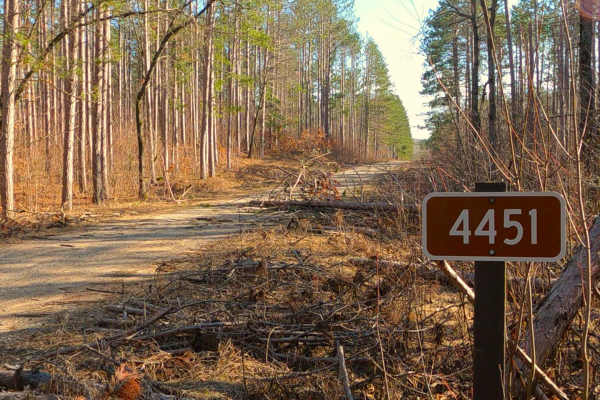 Summers Road - FS 4451
