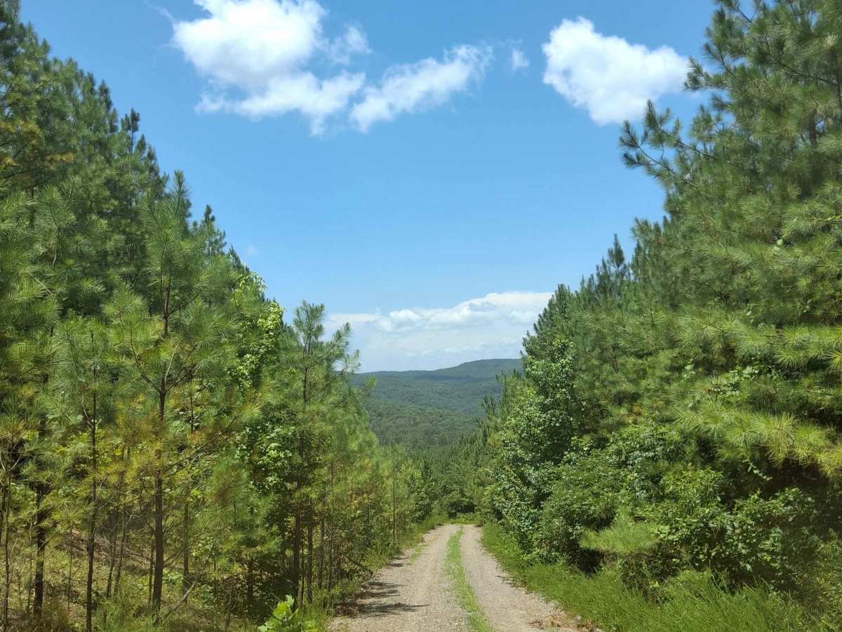 Slick Rock Road photo 5