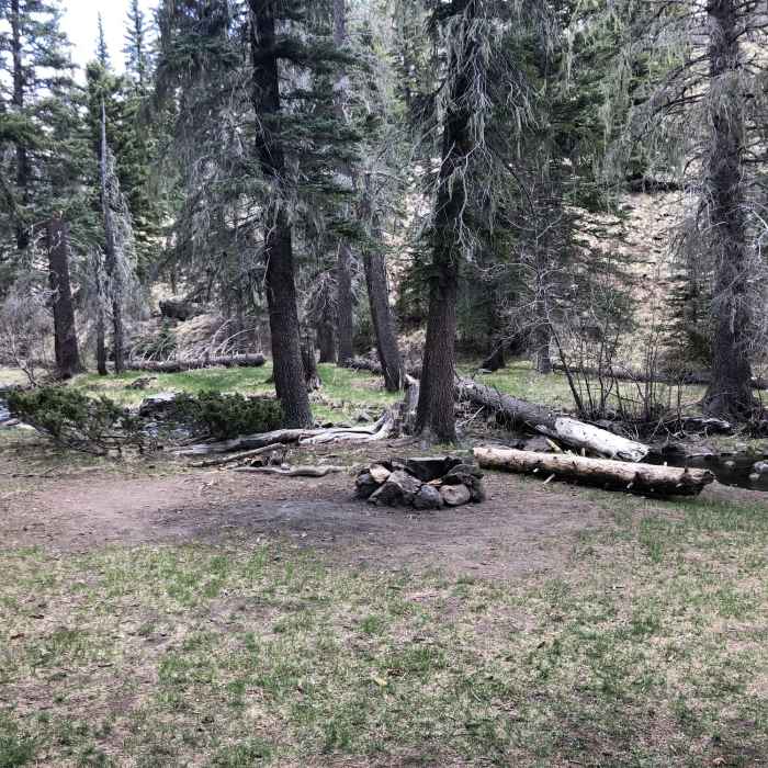 Near Thompson Trail #629