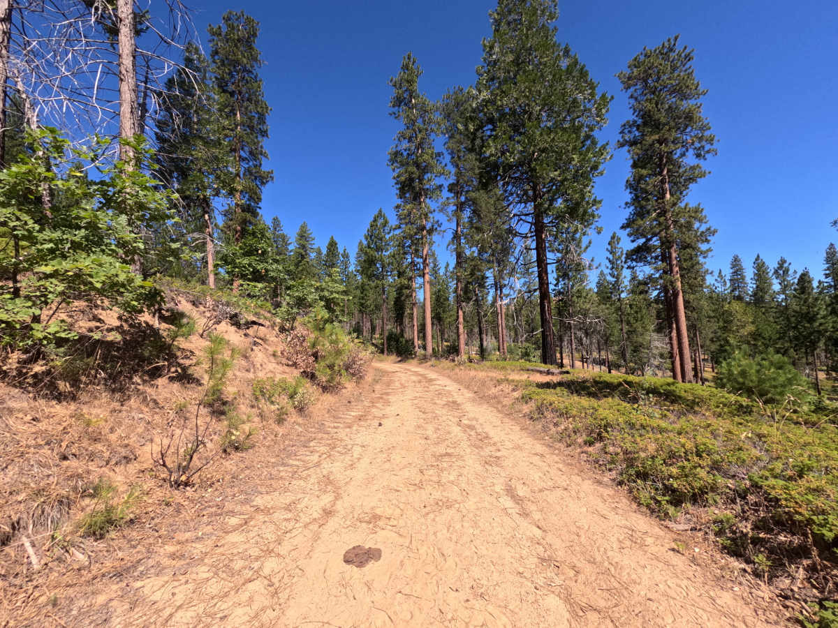 FS 1S41 photo 3