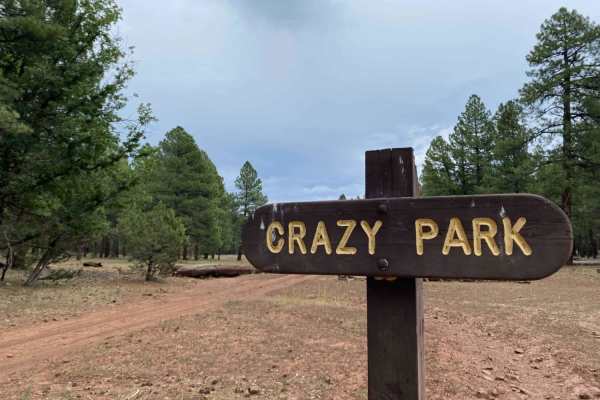 Crazy Park
