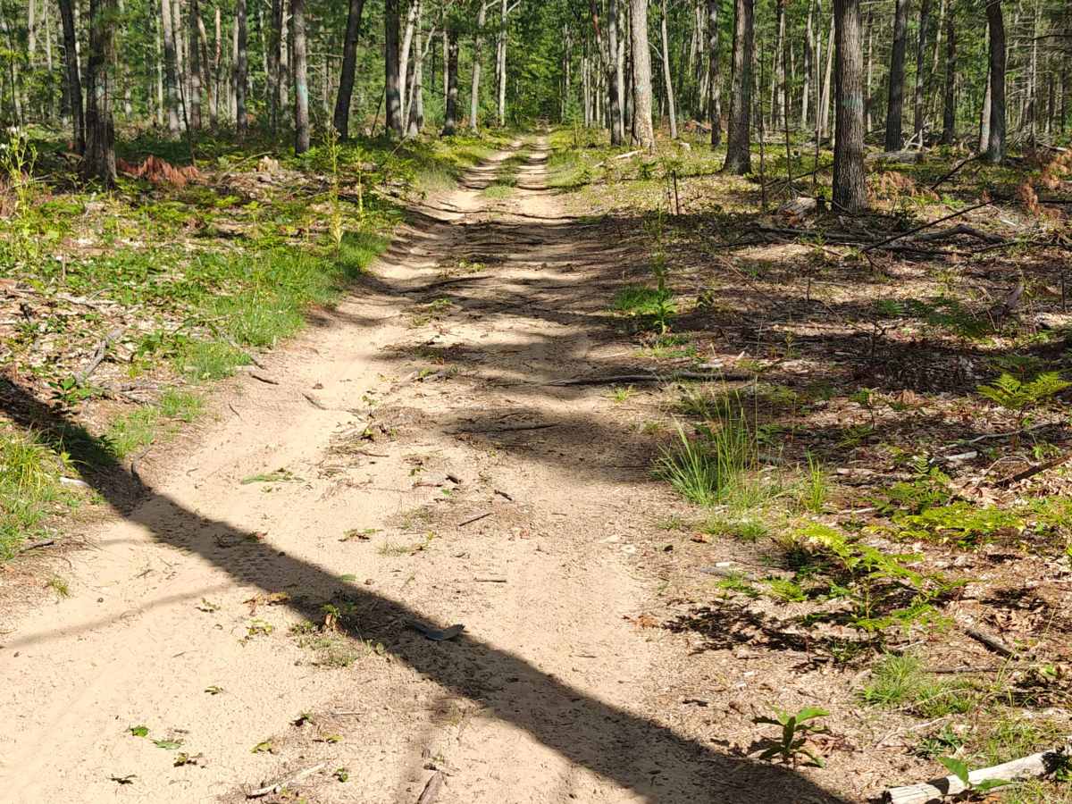 Border Trail photo 3