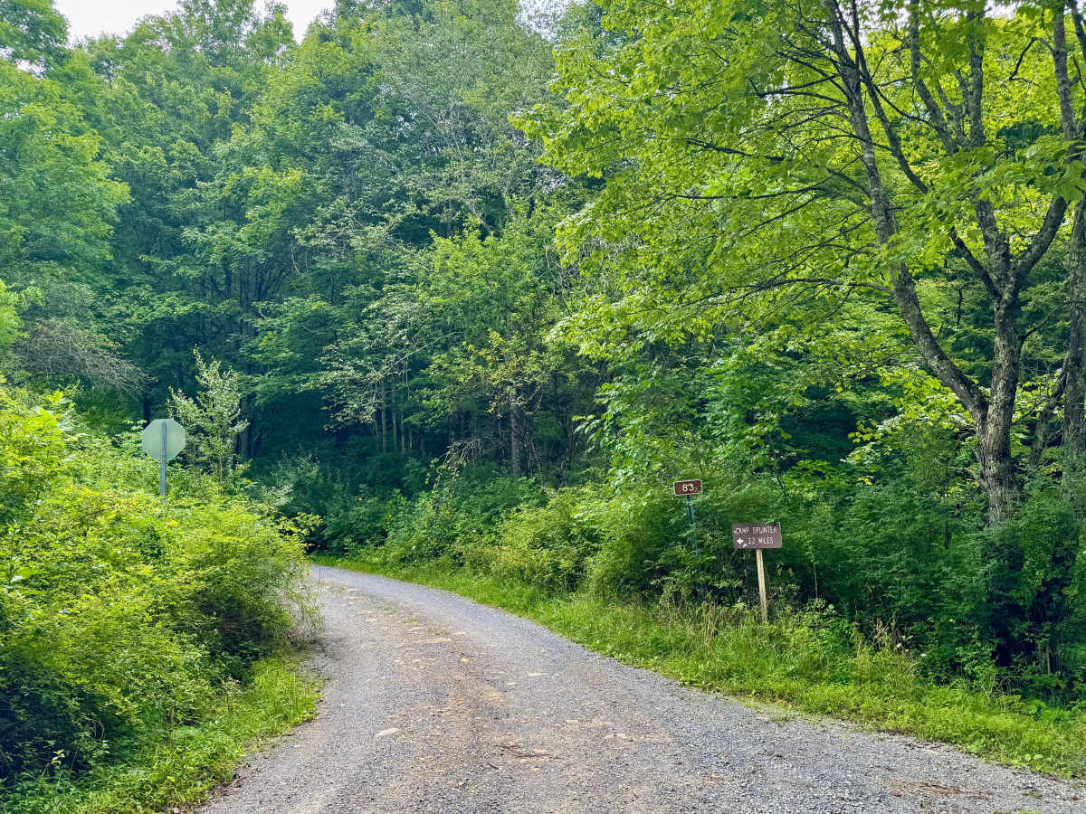 Jakeman Run - FS 83 trail photo