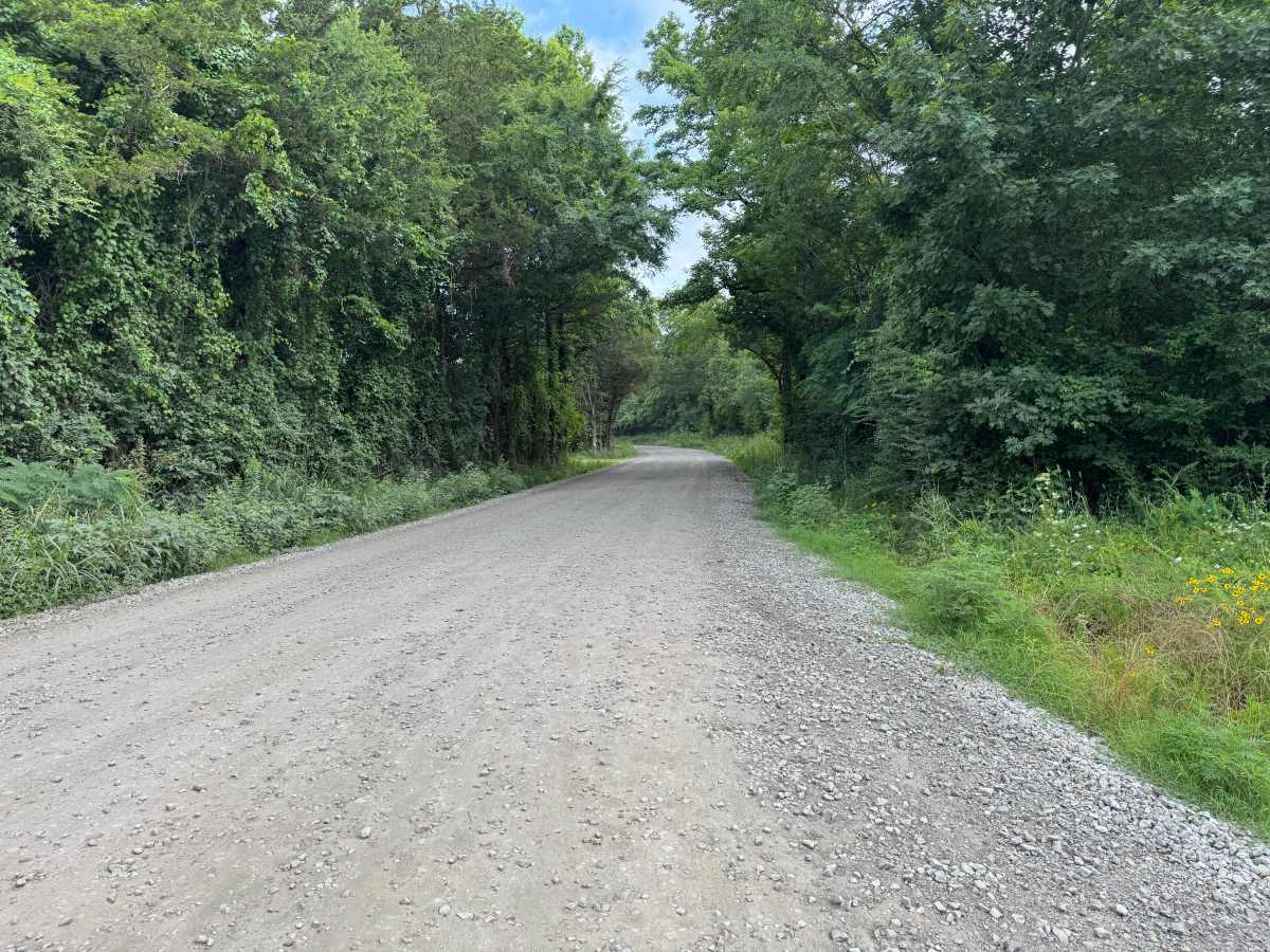 County Road 4491 trail photo
