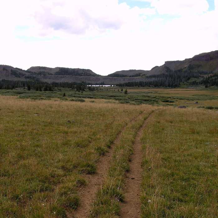 Near Wall Lake Trail