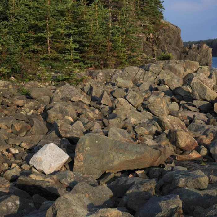 Near Little River Island Near Little River Island