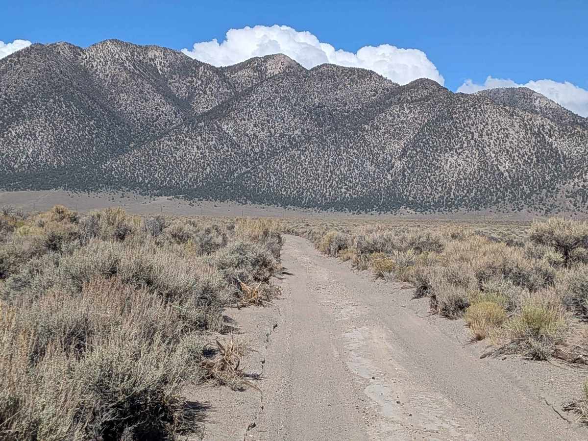 Wilfred Canyon Cutoff - FS 4S148 photo 5