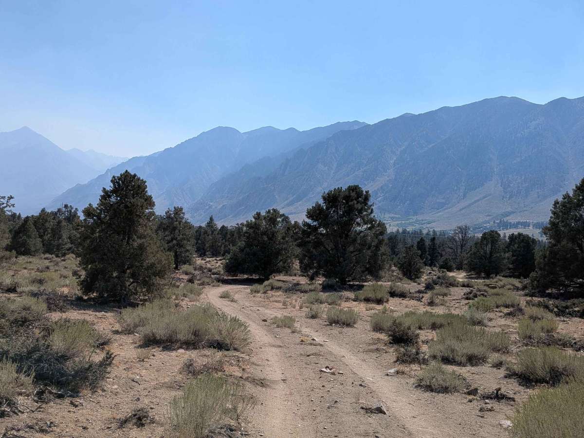 FS 31E311 trail photo