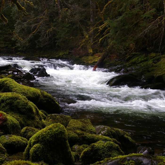 The Salmon River is hikeable even in winter, provided the road to the trailhead is accessible. Photo by Gene Blick. Near Old Salmon River Trail #742A