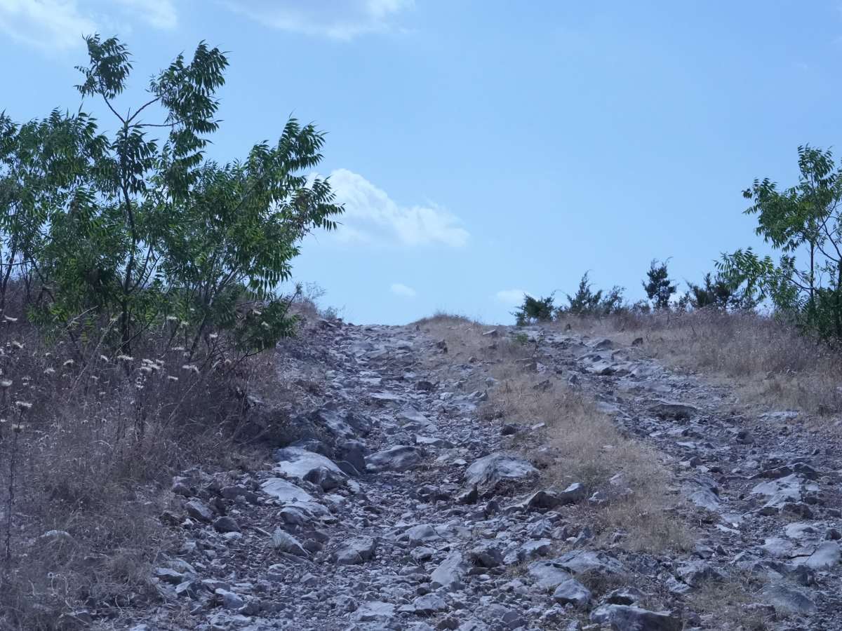 Blue 6 trail photo