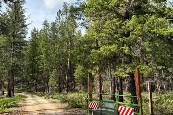 Lake Creek Road - FS 5160-100