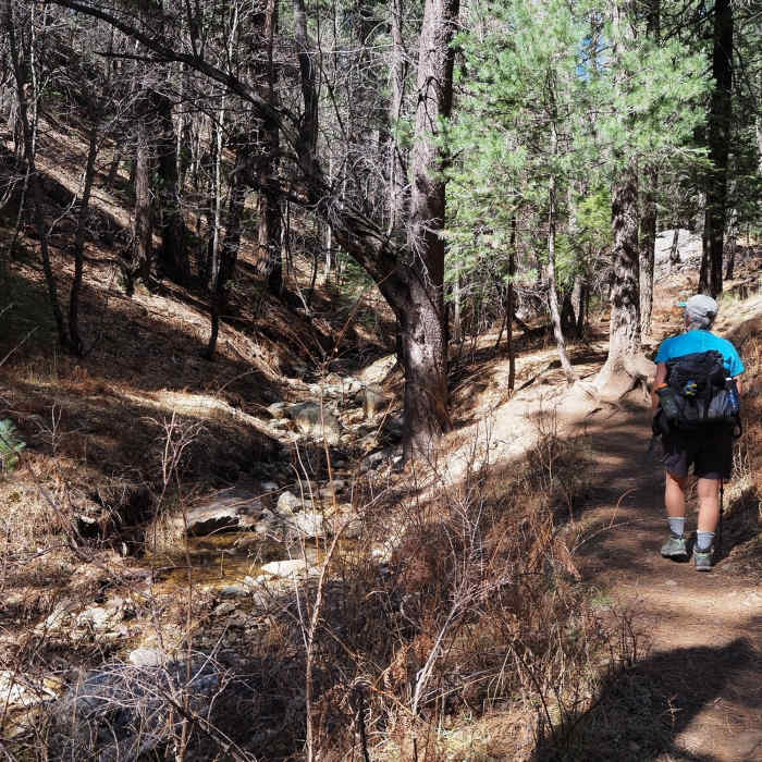 Ascending Marshall Gulch Near Marshall Gulch Trail #3