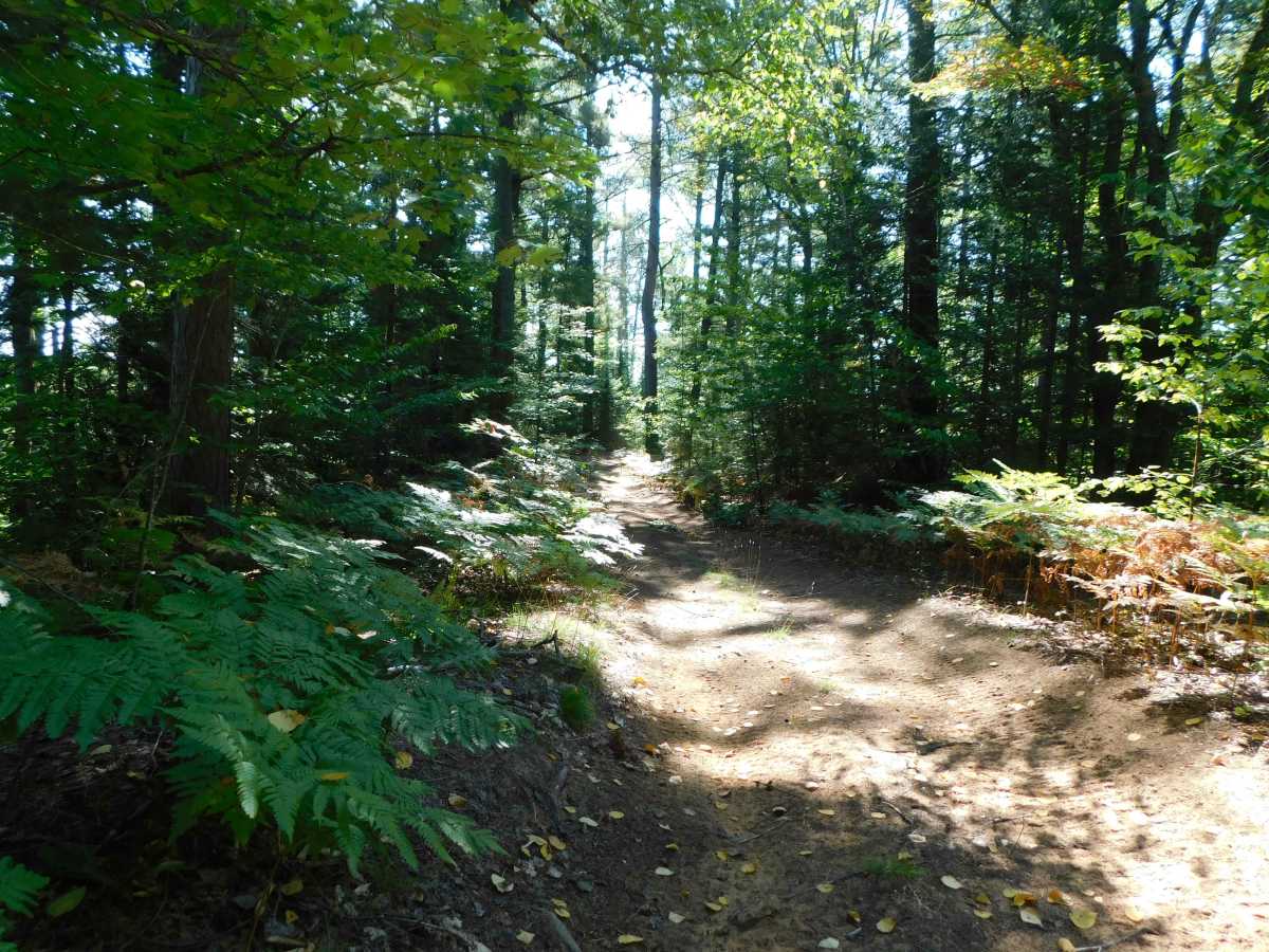 North Country Trail photo 2