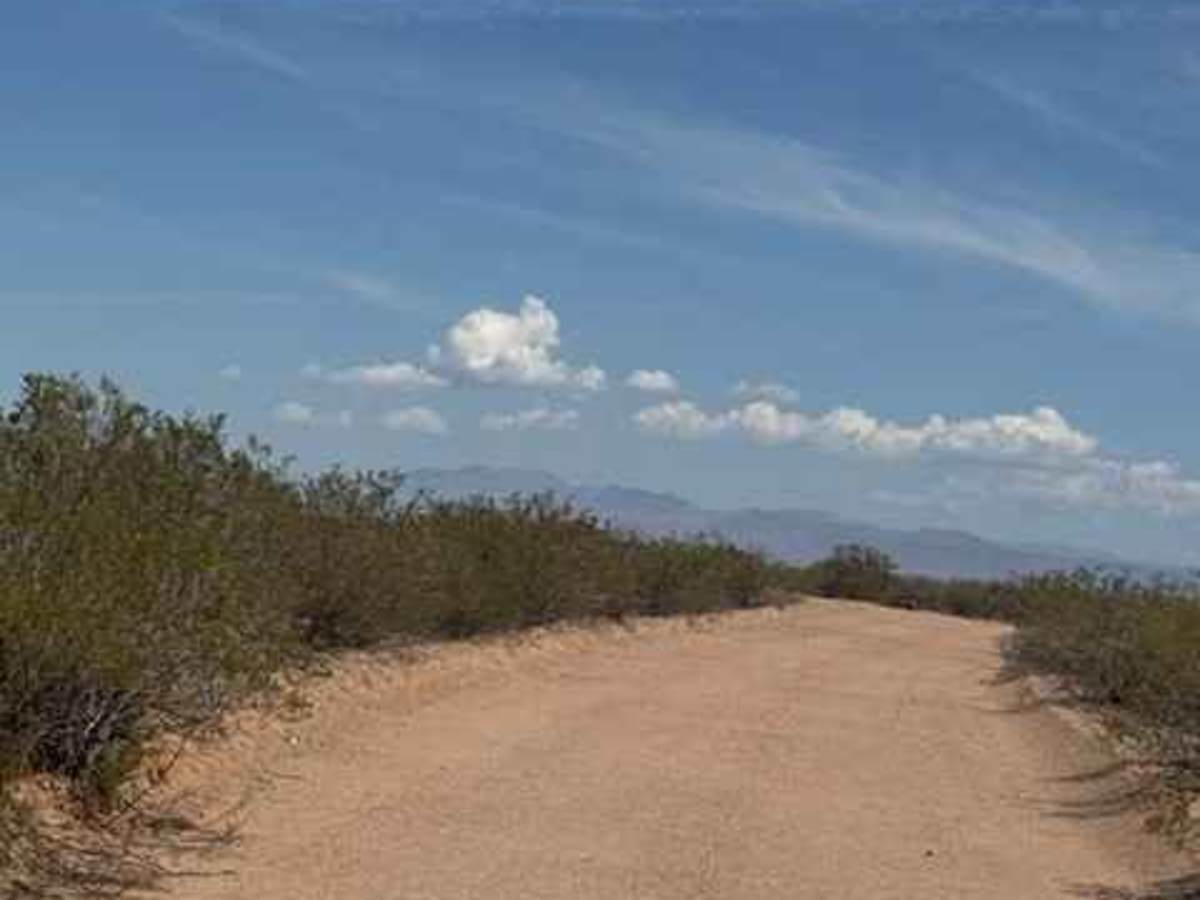 BLM SS1016 photo 3