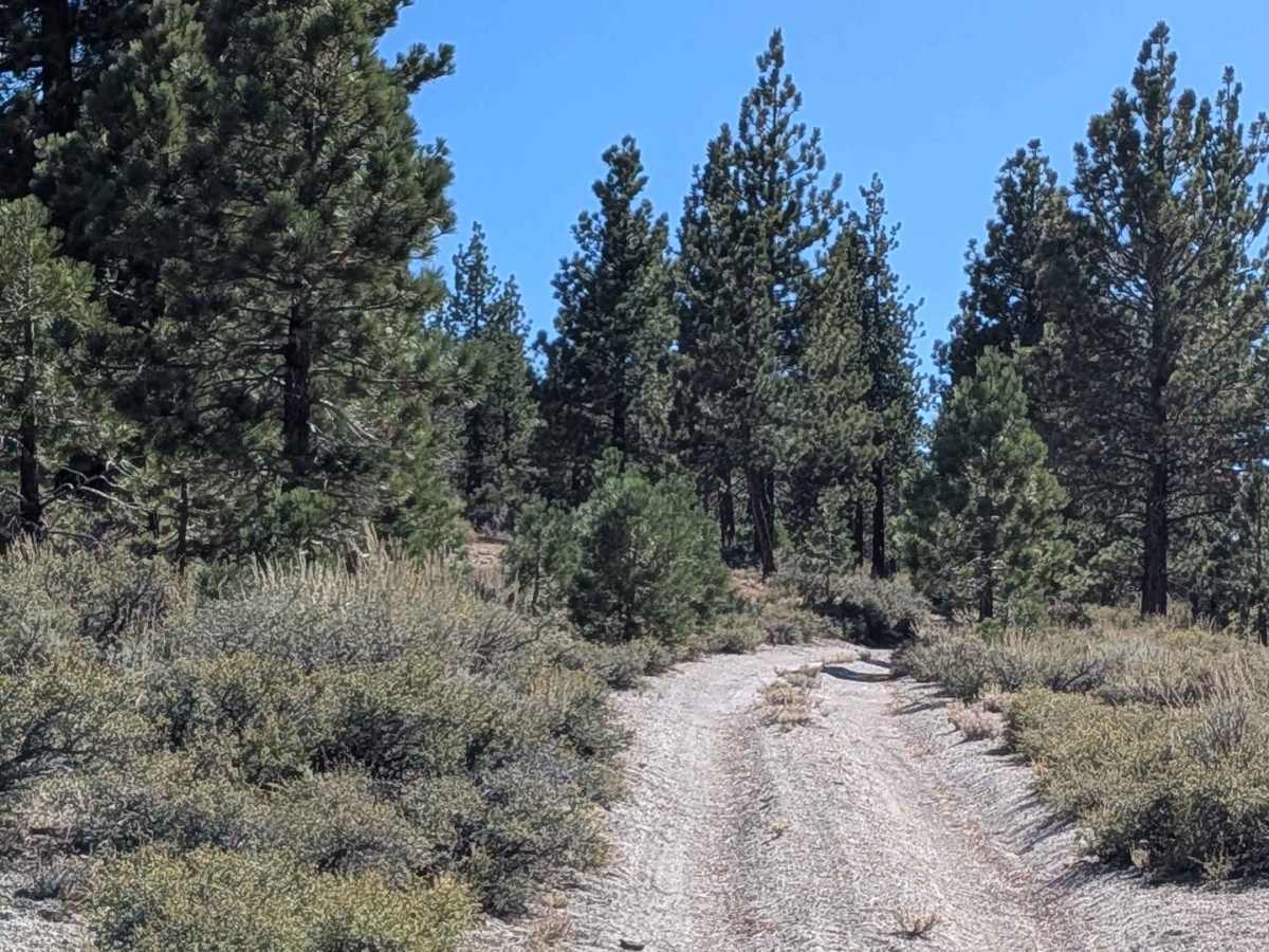 FS 1S53 trail photo