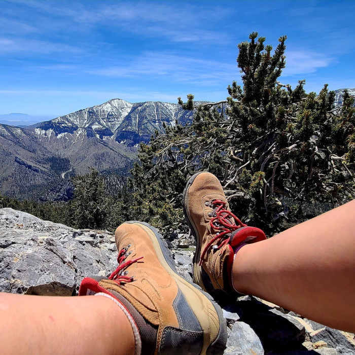 Near Fletcher Peak Out-and-Back