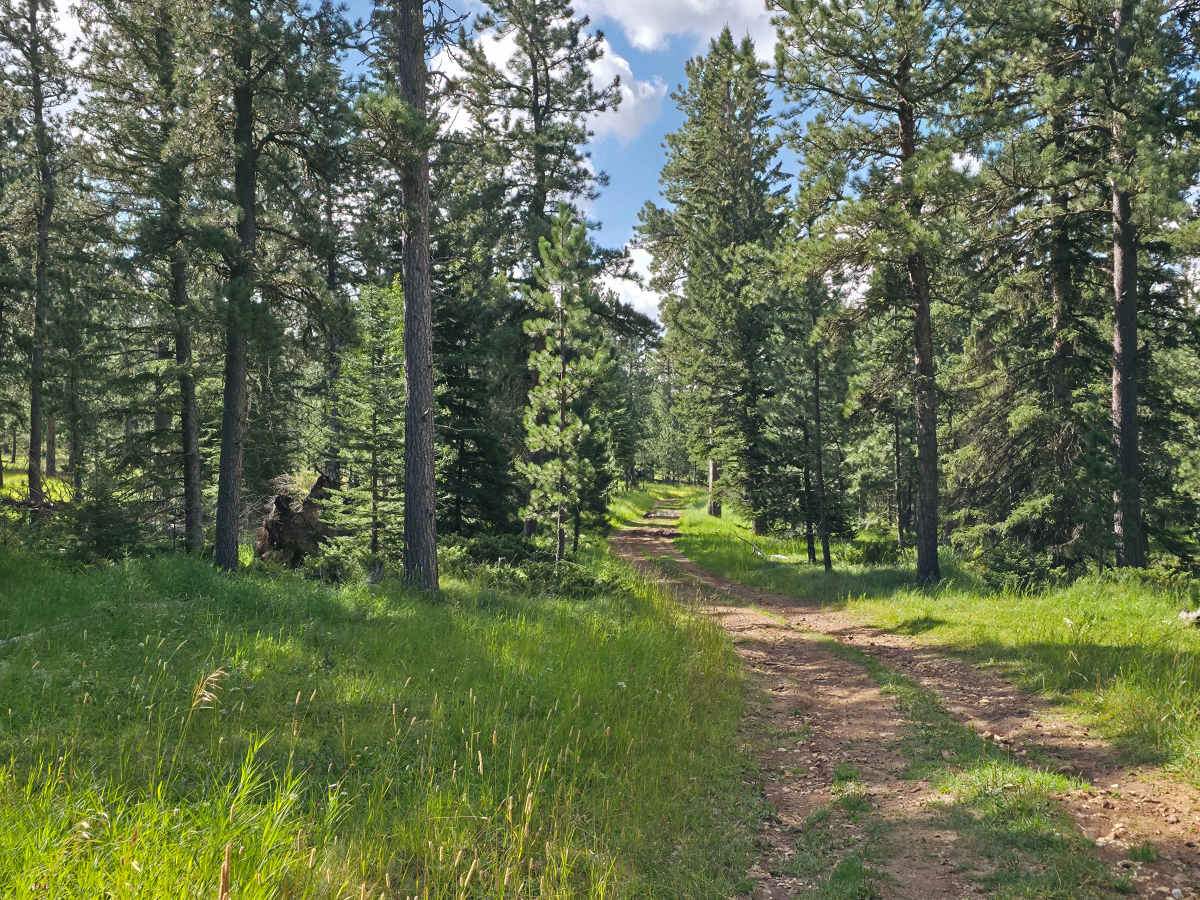 Rhoads Fork - FS 233.1B photo 3