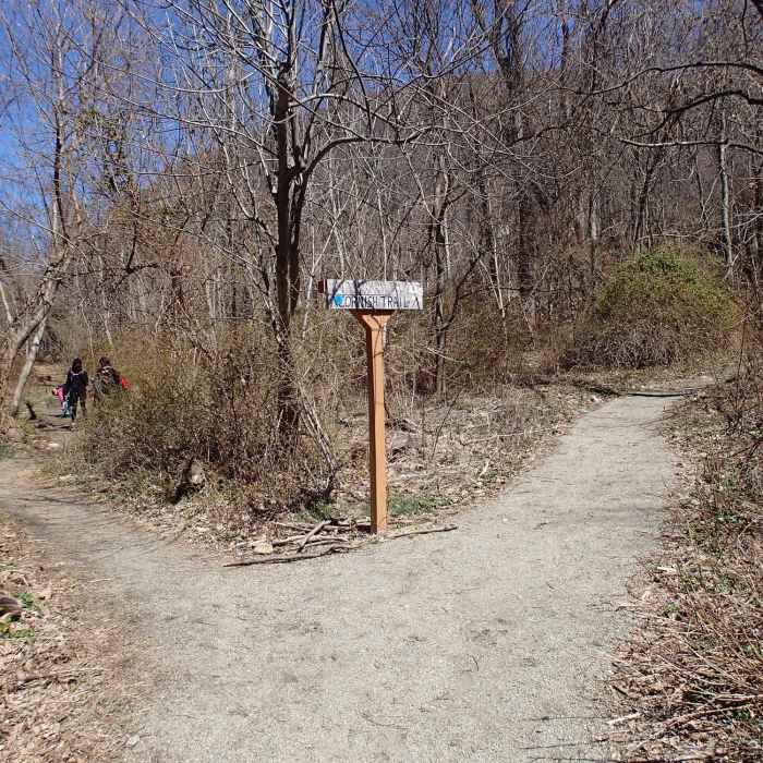 Washburn Trail heads to the right from this junction. Near Cornish/Brook/Notch/Washburn/Undercliff Loop