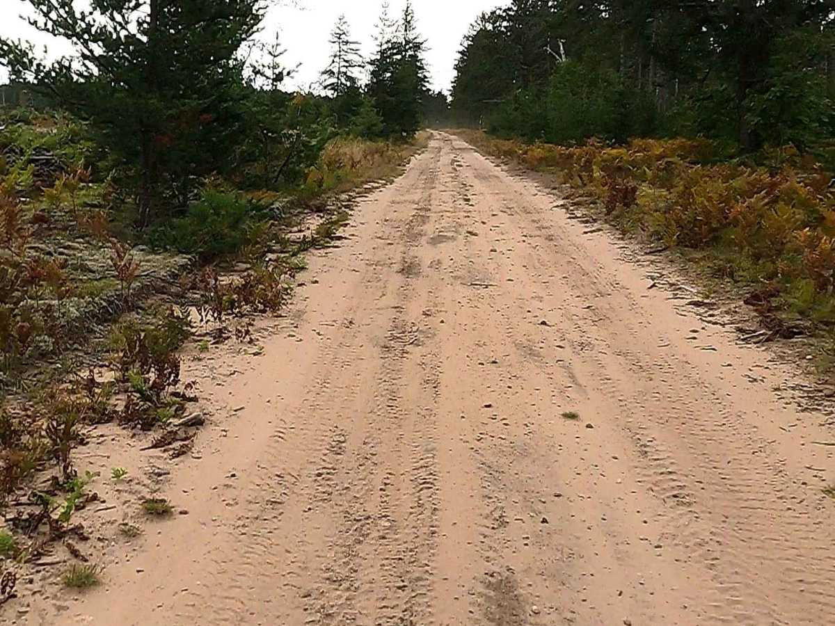 North One - FS 3581 trail photo