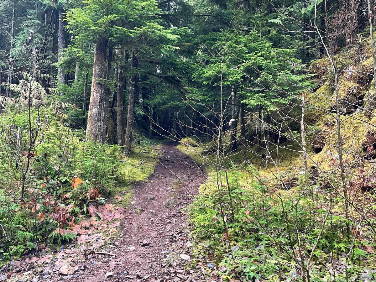 Doubletrack photo 4