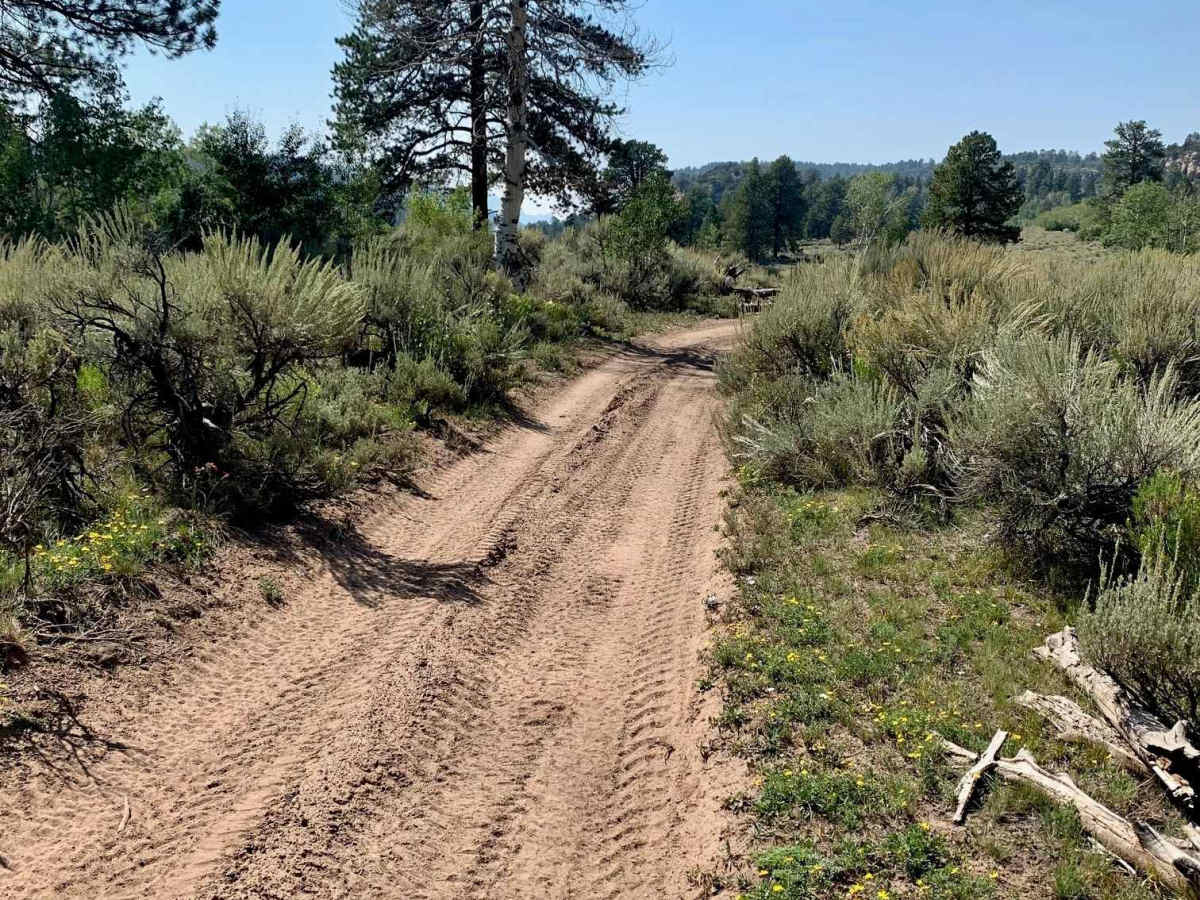 Gill Creek Loop 50" photo 5