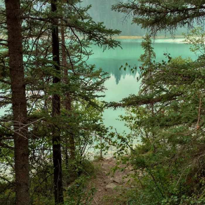 Near Valley of the Five Lakes Trail