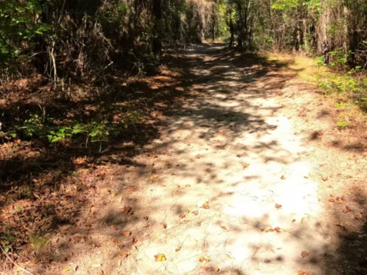 Twilight Lane photo 4