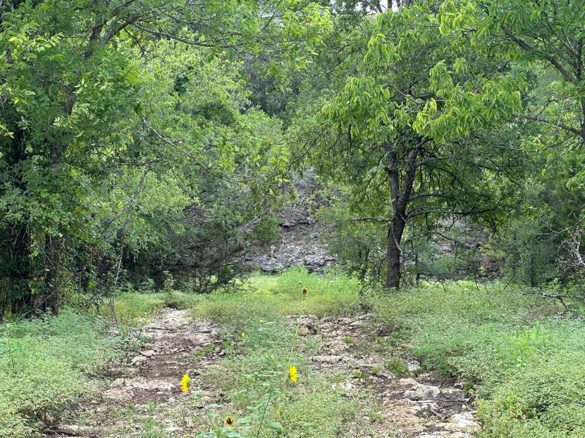 Dishwater Gulch photo 5