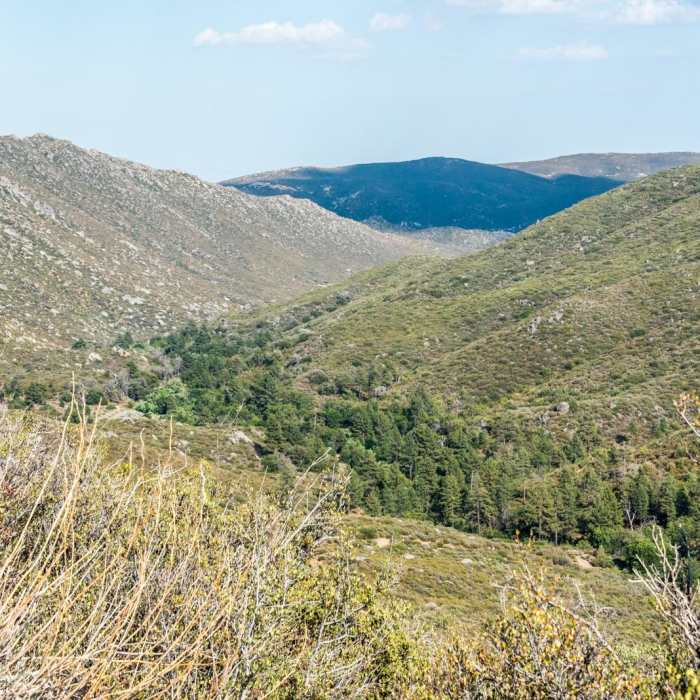 Near Desert View Trail via Burnt Rancheria Campground