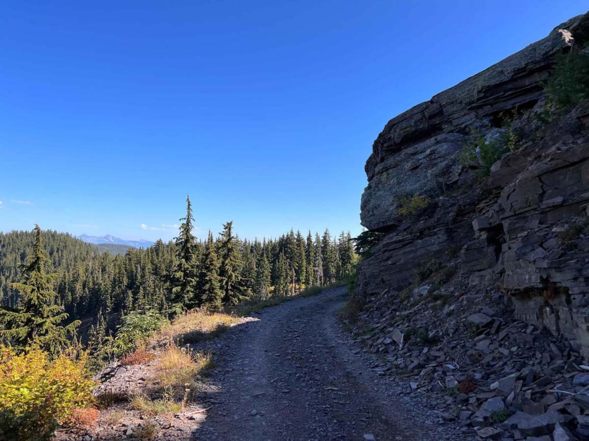 Pilgrim Creek Trail photo 5