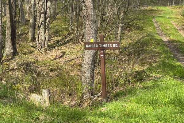 Kaiser Timber Road
