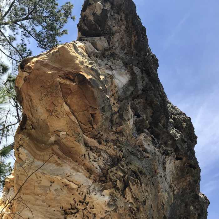 Looking up at Little Peachtree Rock Near Peachtree Figure-Eight Hike