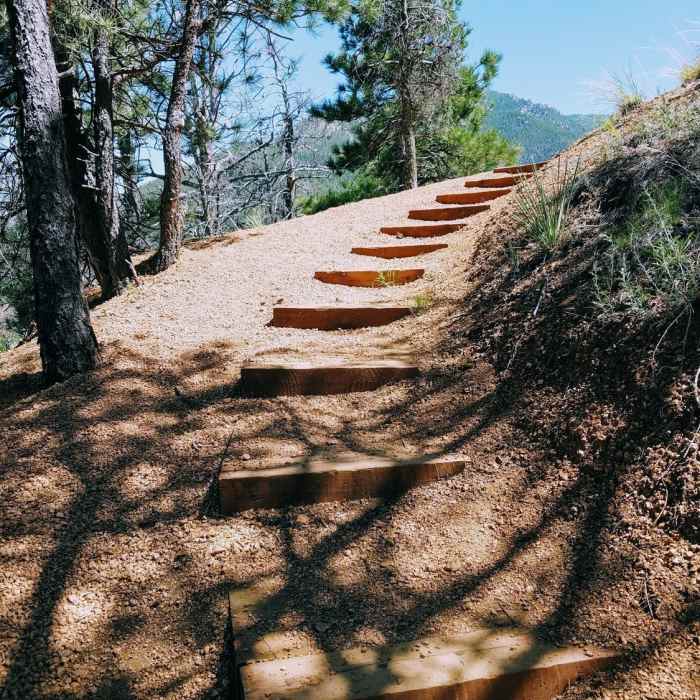 Near Mt. Cutler Trail