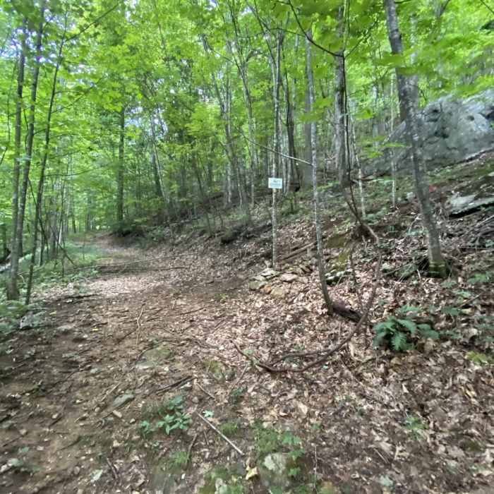 Near Weaver Knob Loop