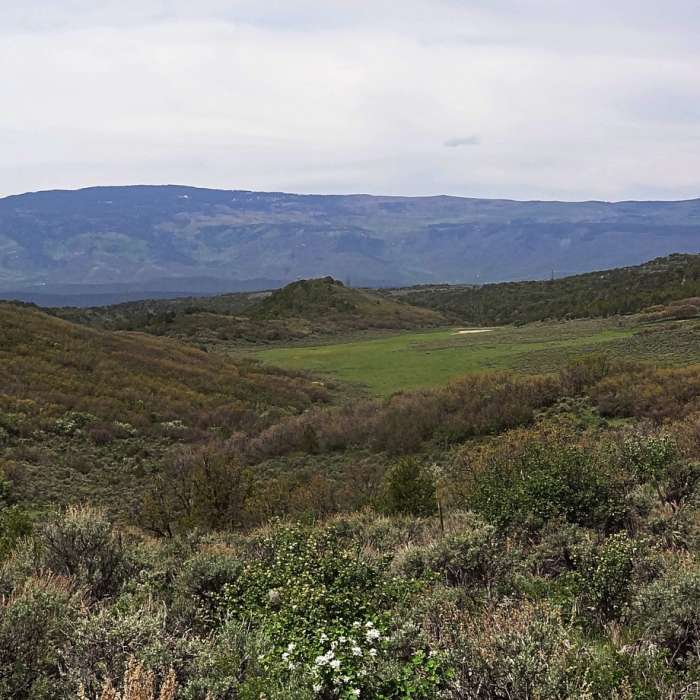 One section of the Fisher Creek trail passes through this meadow. Near Fisher Creek Trail