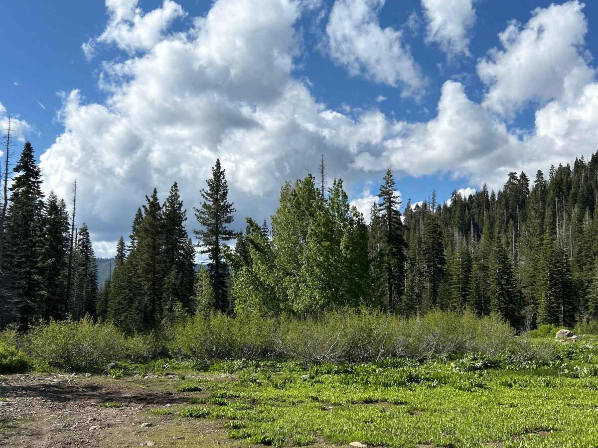 Soda Springs Road photo 4