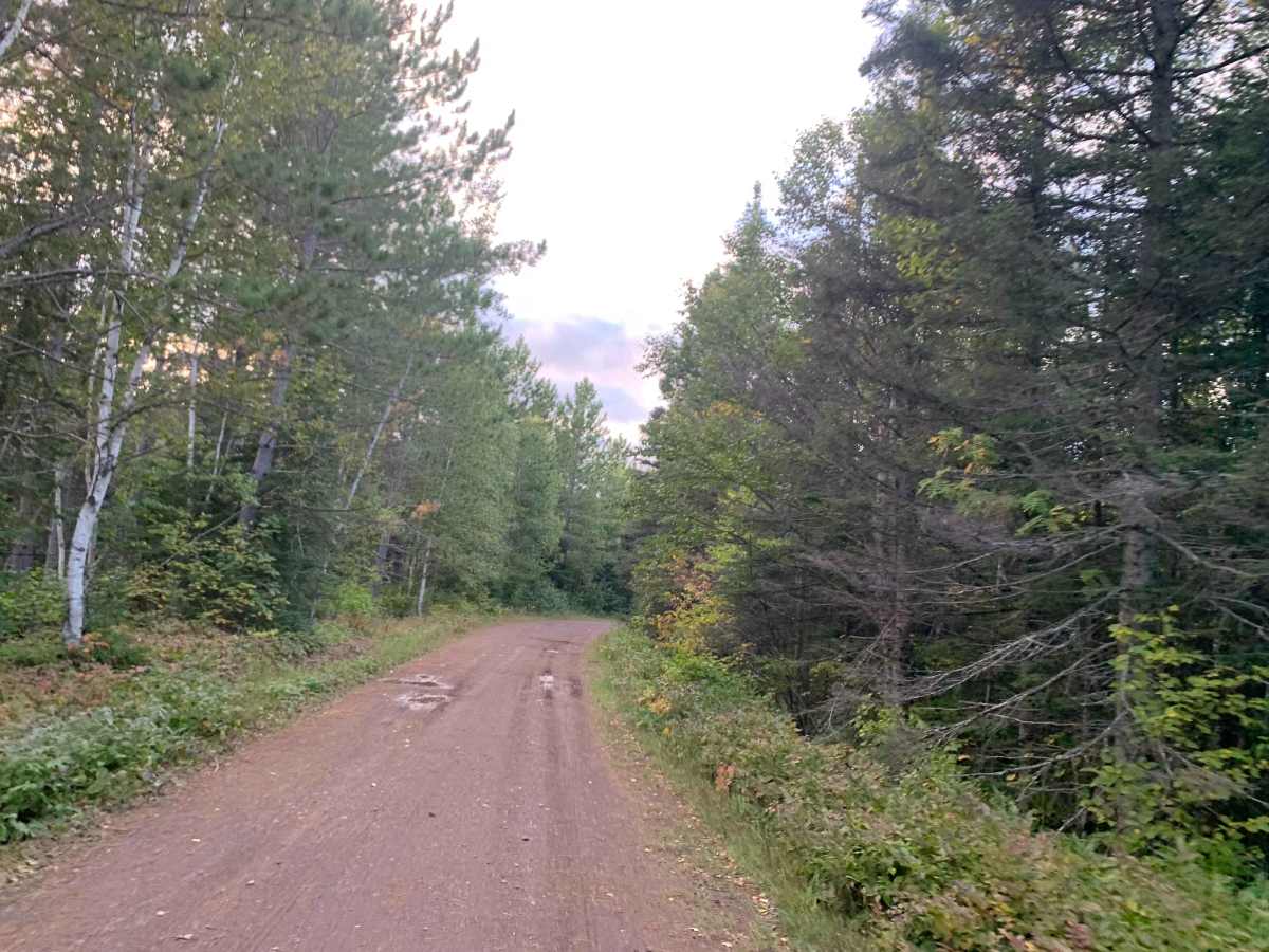 Cloquet Lake Road - FS 102 photo 2