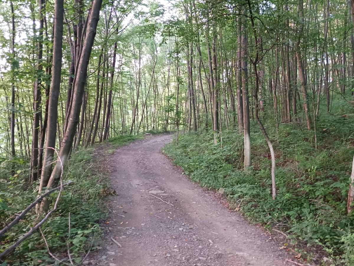 Upper Briar Path - Rock Run Recreation Area photo 2