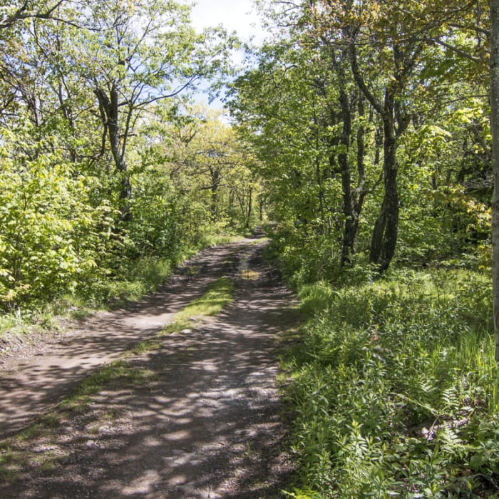 Near Colonelas Chair + Fire Tower