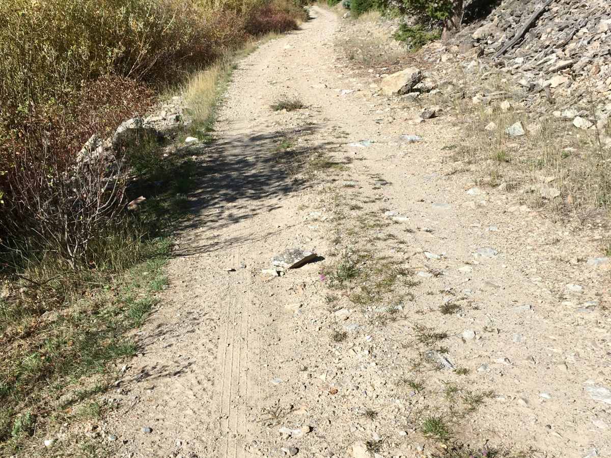 Overwhich Road - FS 5703 photo 5