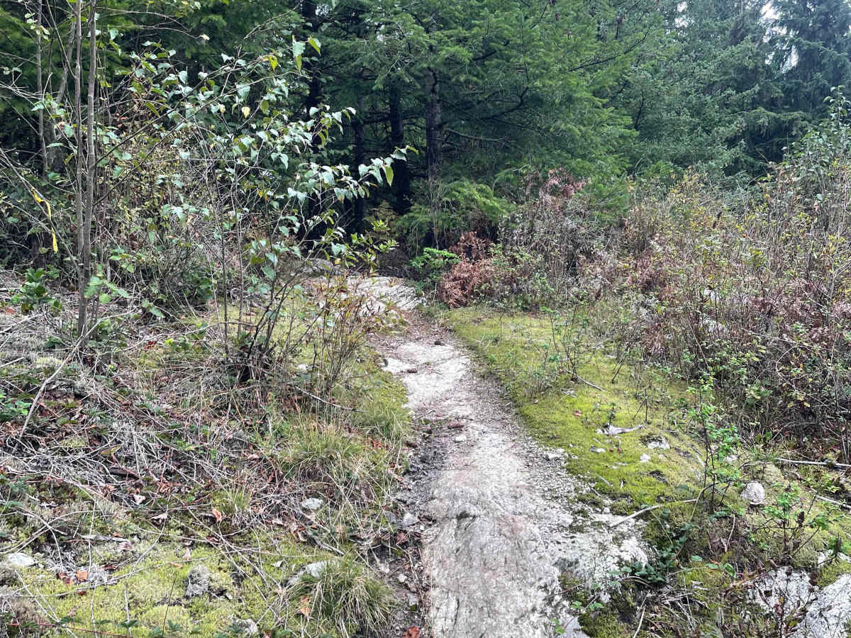 Viewpoint- The Long Way photo 5