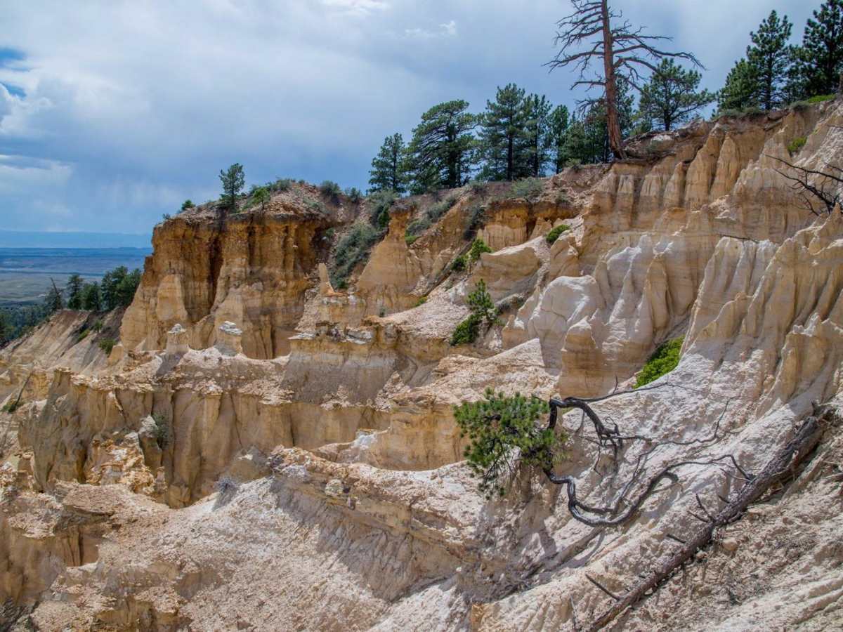 Yellowstone ATV Trail photo 3