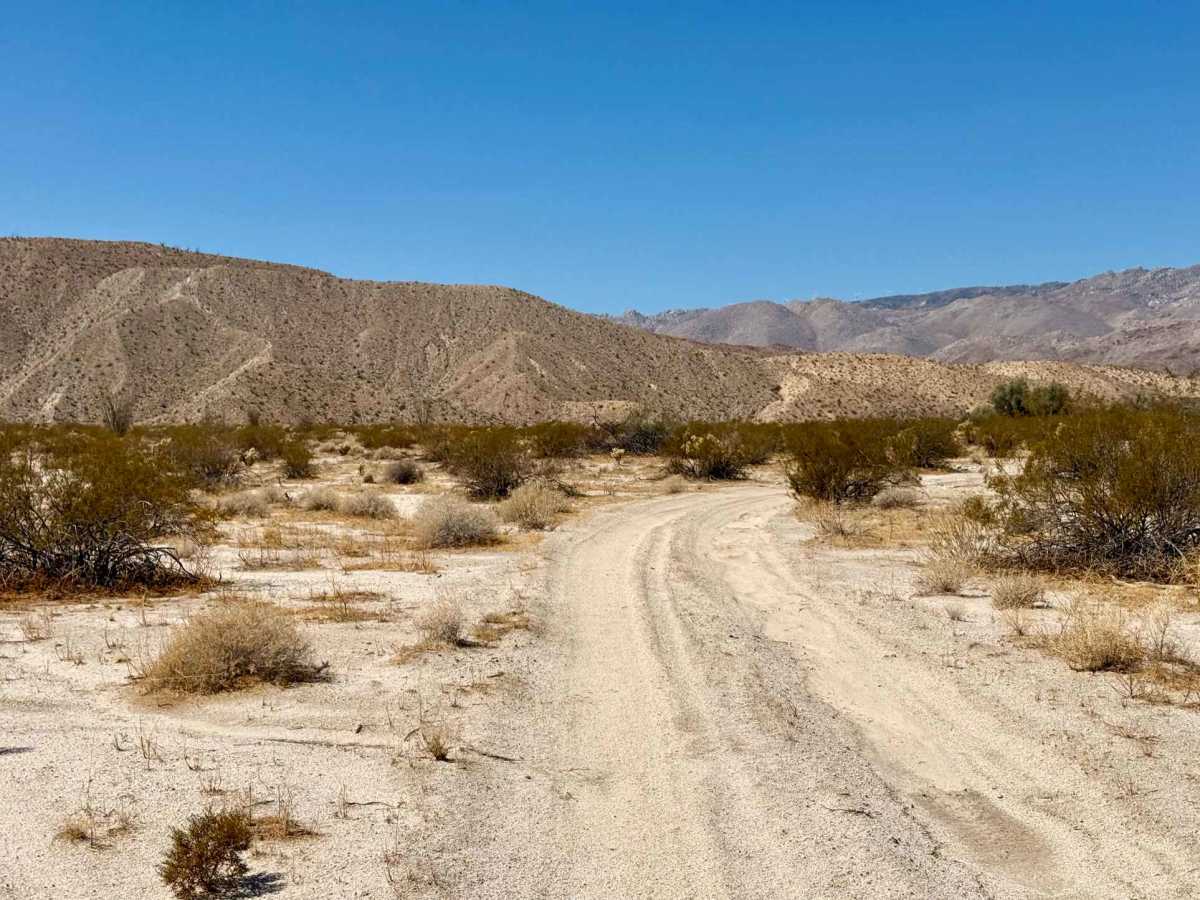 South Carrizo Creek photo 3