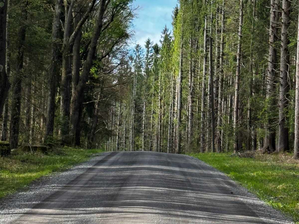 McGeorge Road photo 4