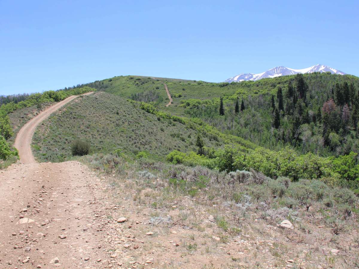 The Crown: BLM Road #8320 trail photo