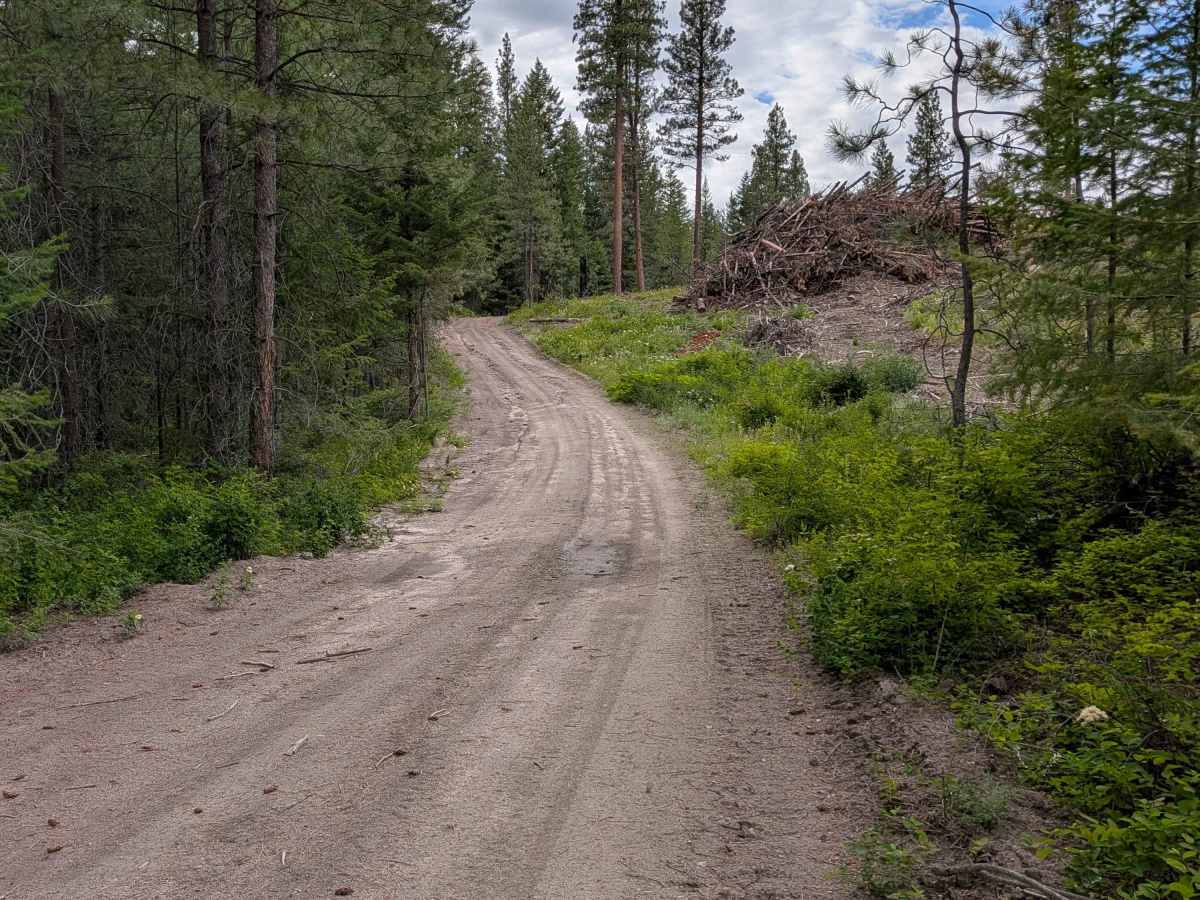 Chiliwist Creek Road photo 6