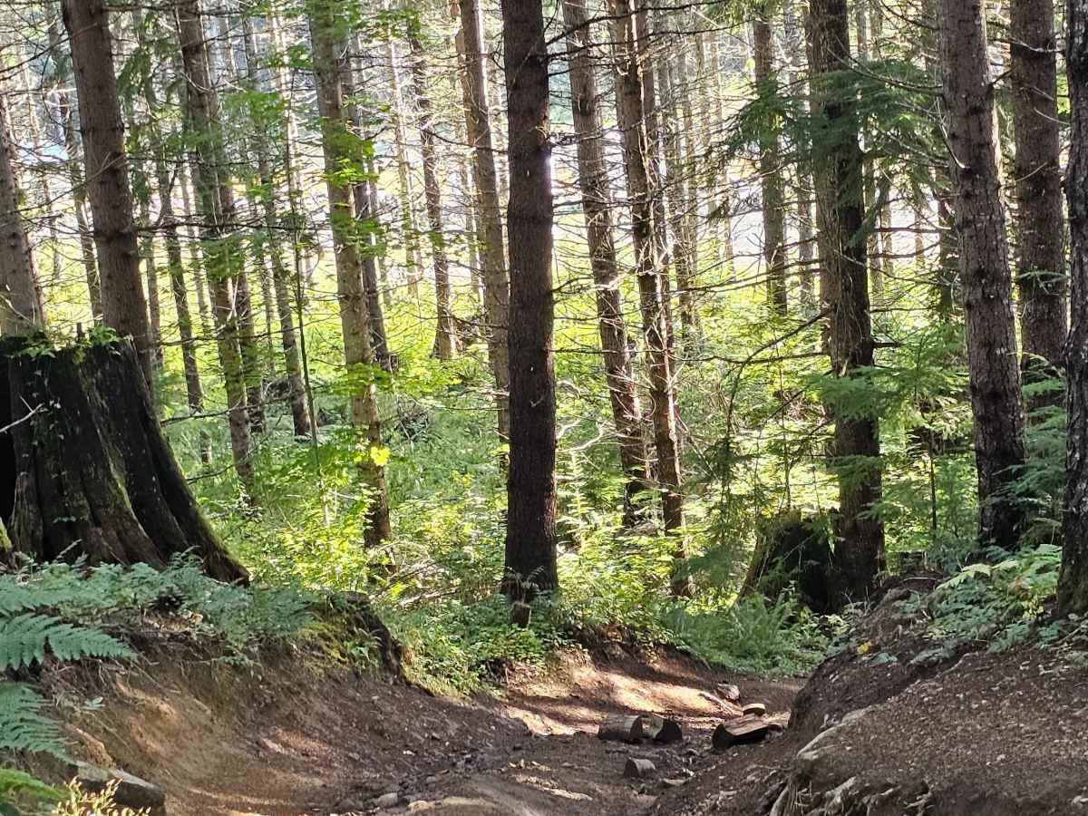 Inner Alder loop photo 2