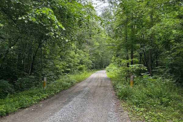 North Creek
