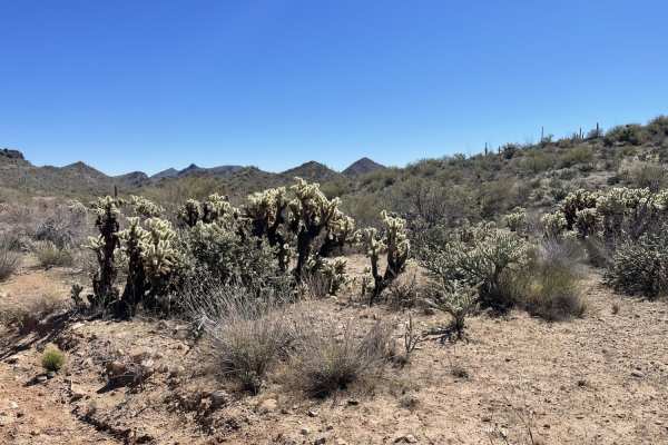 Lower Scenic Loop Road
